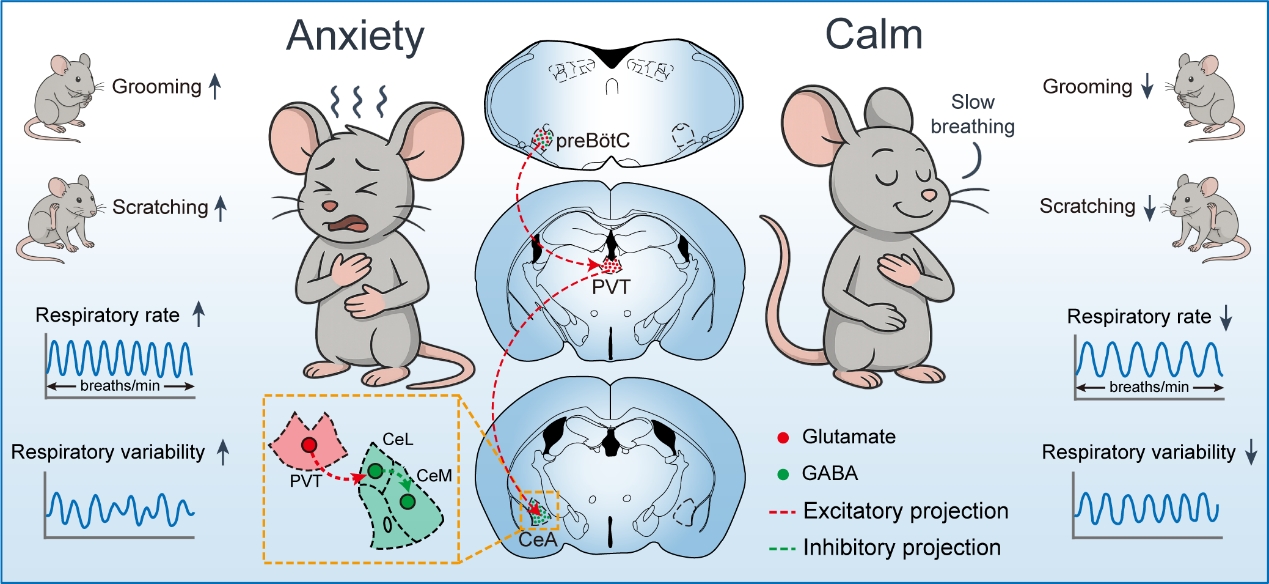 1772703612369148.jpg 1772703612369148.jpg